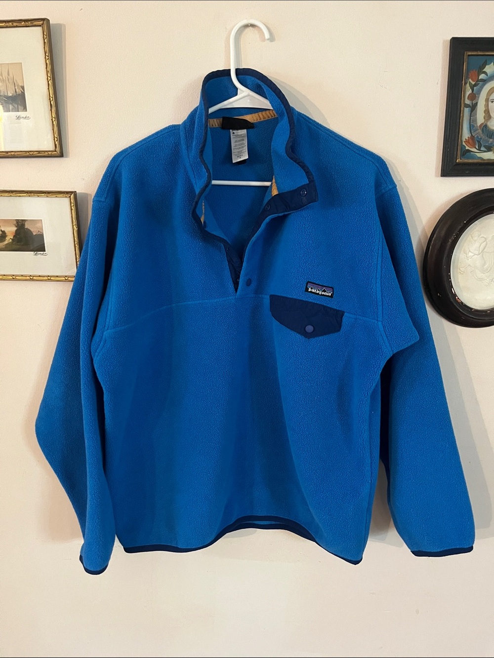 Patagonia Teal Fleece Pullover with Navy Pocket